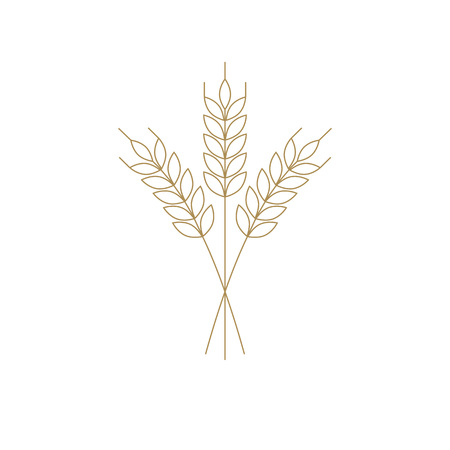 wheat or barley icon, outline vector for logoのイラスト素材