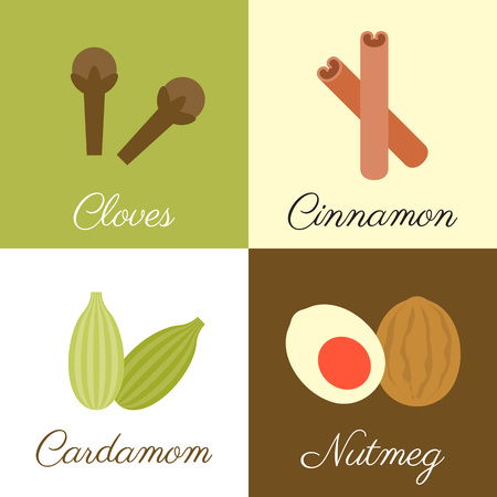 Icon of herbs and spices , cloves, cinnamon, cardamom and nutmeg, flat designのイラスト素材