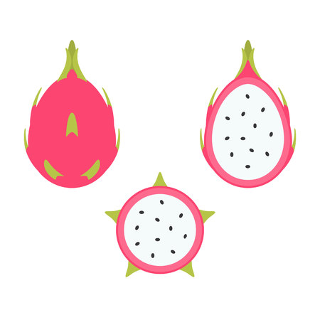 dragon fruit set, whole and half in flat design iconのイラスト素材