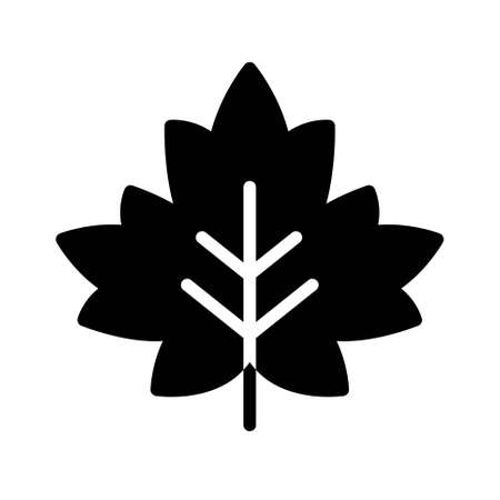 Maple leaf icon, Thanksgiving related vector illustrationのイラスト素材