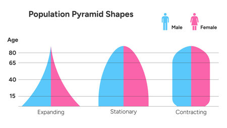 A demographic infographic showing expanding, stationary, and contracting population pyramid shape comparing male and female distribution Vector Illustrationのイラスト素材