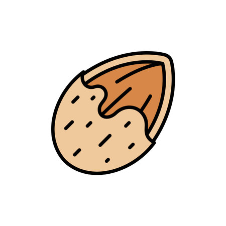 Half peeled almond nut with shell texture filled color icon Vector Illustrationのイラスト素材