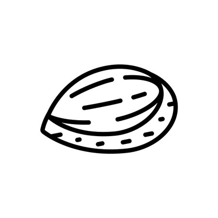 Single Almond Nut Outline Icon Vector Illustrationのイラスト素材
