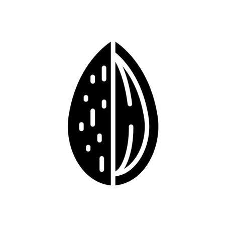 Solid Black Vector Illustration of a Cross Section Almond Half Showing Inner Texture on White Backgroundのイラスト素材
