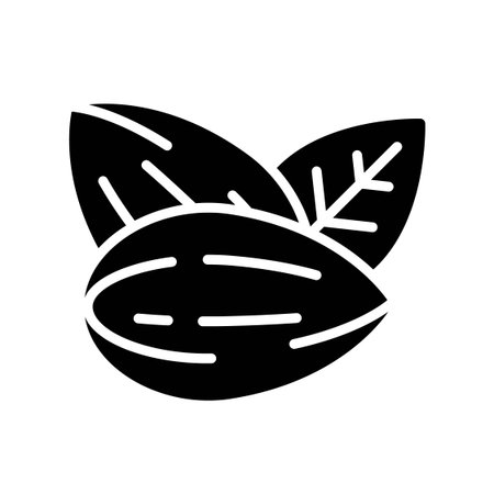 Pair of Almond Nuts with Leaf Silhouette Icon Vector Illustrationのイラスト素材