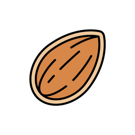 Almond nut with visible kernel front and shell backside Vector Illustrationのイラスト素材