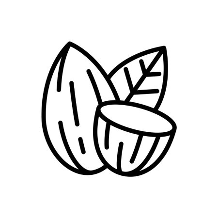 Outline Vector Illustration of Whole Almond, Leaf, and Sliced Kernelのイラスト素材