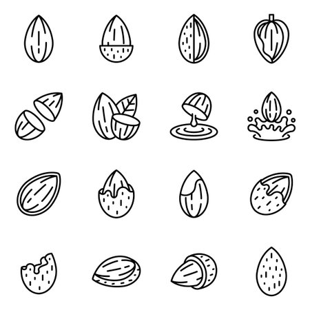 Outline Almond and Nut Icons Set with Half Cut, Milk Splash, and Cracked Shell Vector Illustrationのイラスト素材