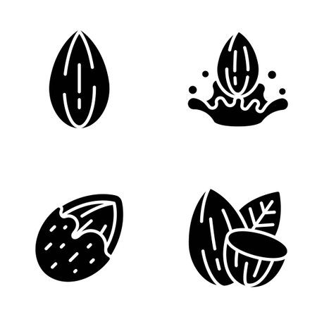 Set of Four Almond Silhouette Icons Including Whole Almond Milk Splash Half Crack Shell Pair with Leaf Vector Illustrationのイラスト素材