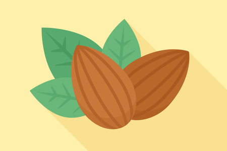Two almonds with green leaves on yellow background vector illustrationのイラスト素材