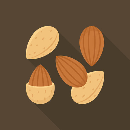 Multiple Almond Nuts and Shells Flat Vector Illustration on Dark Backgroundのイラスト素材