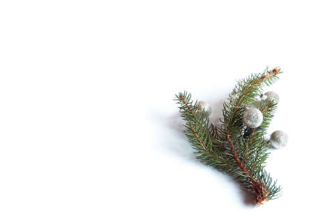 christmas, christmas tree, corpus decoration, green, holiday, nativity, needle, spray, sprig, the nativity, twig, winter, xmas, yule, over whiteの写真素材