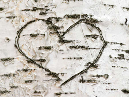 heart, love, red, aqua, reflection, isolated, white background, valentine, celebration, illustration, marriage, romantic, senses, wedding, heartbeating, lovers, relations, relationship, emotion, feelings, shapes, symbol, icon, sign, one, loving, birch, trの写真素材