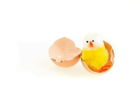 easter eggs and chicken on white backgroundの写真素材