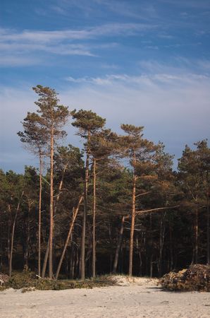 blue landscape Baltic Sea wallpaper postcart waterの写真素材