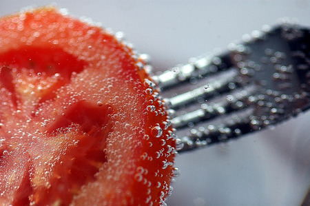 crutch diet eat fork grey mineral nature plant prong red silver swim tomato vitamin waterの写真素材