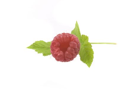 red raspberry on the white background