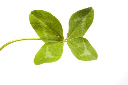 Shamrock as a symbol for luck and happiness
