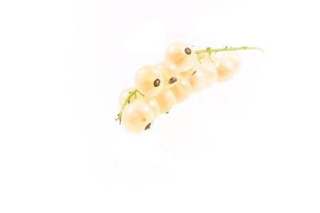 summer beautiful fresh  fruit on white background の写真素材