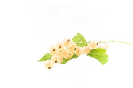 summer beautiful fresh  fruit on white background の写真素材