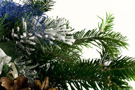 Christmas navy blue tree on white backgroundの写真素材