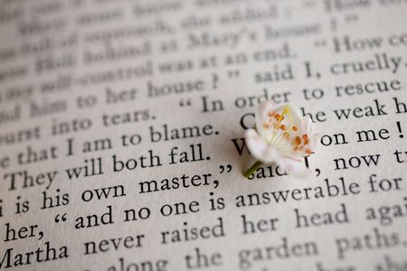 flower apple tree and book backgroundの写真素材