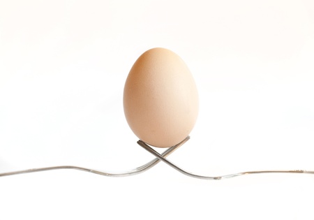 one easter egg on white background の写真素材