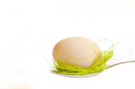 one easter egg on white background の写真素材