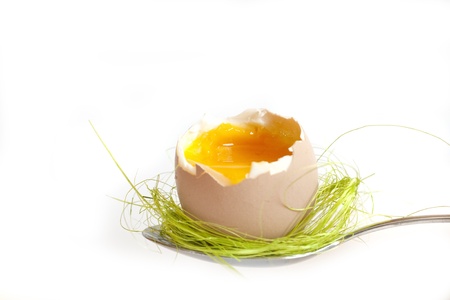 one easter egg on white background の写真素材