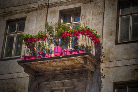 balcony in a block of flats decorated with beautiful pink flowersの写真素材