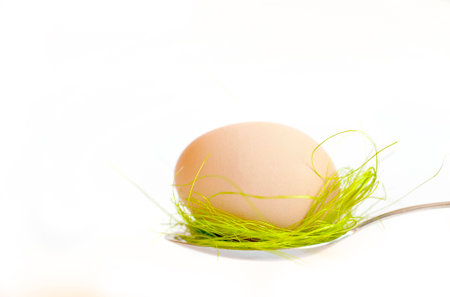 Easter egg kept on the cutlery on a white egg, Easter,  white, isolated  background, celebrateの写真素材