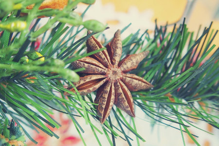 Macro color natural decoration on christmas with orange, tree,の写真素材