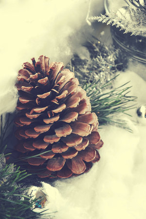 elegant Christmas decoration with snow cones and green pine twigs,の写真素材