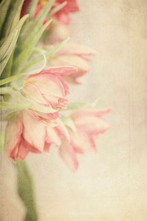 Spring colorful tulips vase warm colors,の写真素材