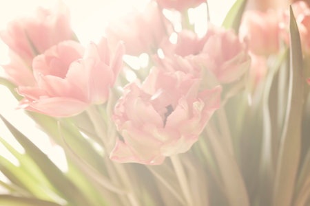 Spring colorful tulips vase warm colors,の写真素材