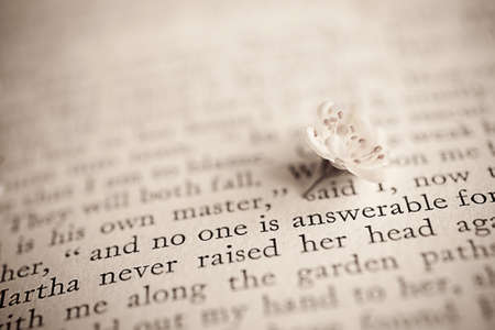 spring twig with white apple blossoms on the bookの写真素材