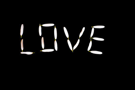 delicate love inscription arranged from white petals of a camo on a black backgroundの写真素材