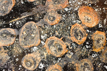 different size of the text brown-beige ellipses on a black backgroundの写真素材