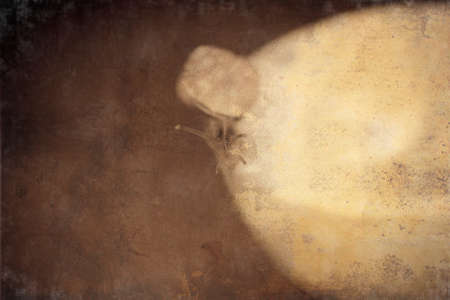 colorful little snail wandering on awhite  cupの写真素材