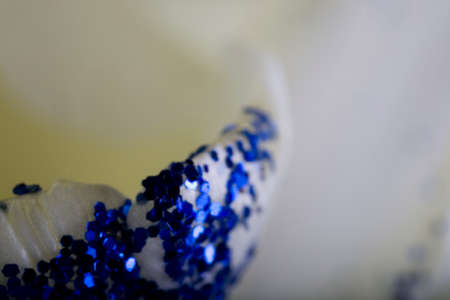 Petals of a beautiful white spring tulip flower close-upの写真素材