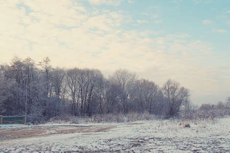 Beautiful winter landscape with fresh snow and treesの写真素材