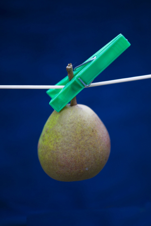 a green summer juicy gourd hanging on a string on a dark blue backgroundの写真素材