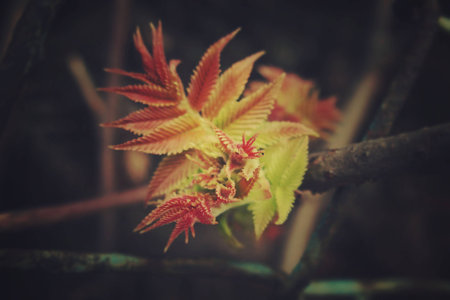 beautiful green first spring shrub leaves look through the fenceの写真素材