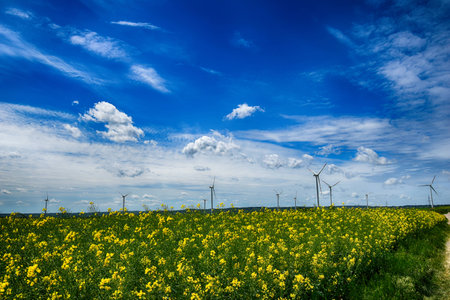 beautiful picturesque spring landscape with blue sky and green fieldsの写真素材