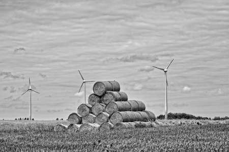 beautiful picturesque spring landscape with blue sky and green fieldsの写真素材