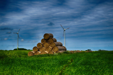 beautiful picturesque spring landscape with blue sky and green fieldsの写真素材