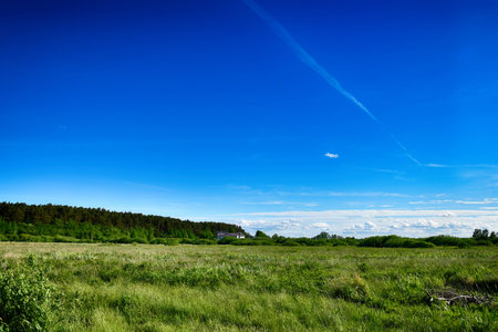 beautiful picturesque spring landscape with blue sky and green fieldsの写真素材