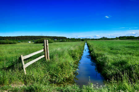 beautiful picturesque spring landscape with blue sky and green fieldsの写真素材