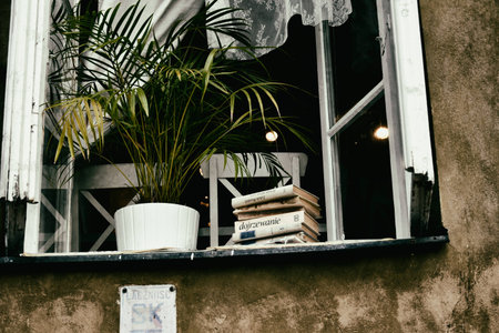 wide open window in summer on which the window sill lies books and a donut plant stands,の写真素材
