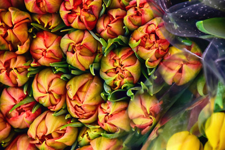 colorful beautiful spring large bunches of tulips lying on a market stallの写真素材